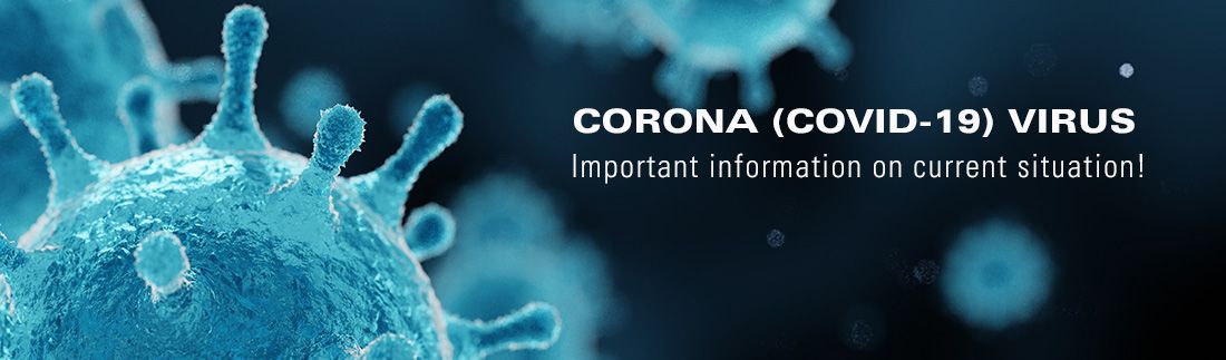 Corona_en_1100x380.jpg